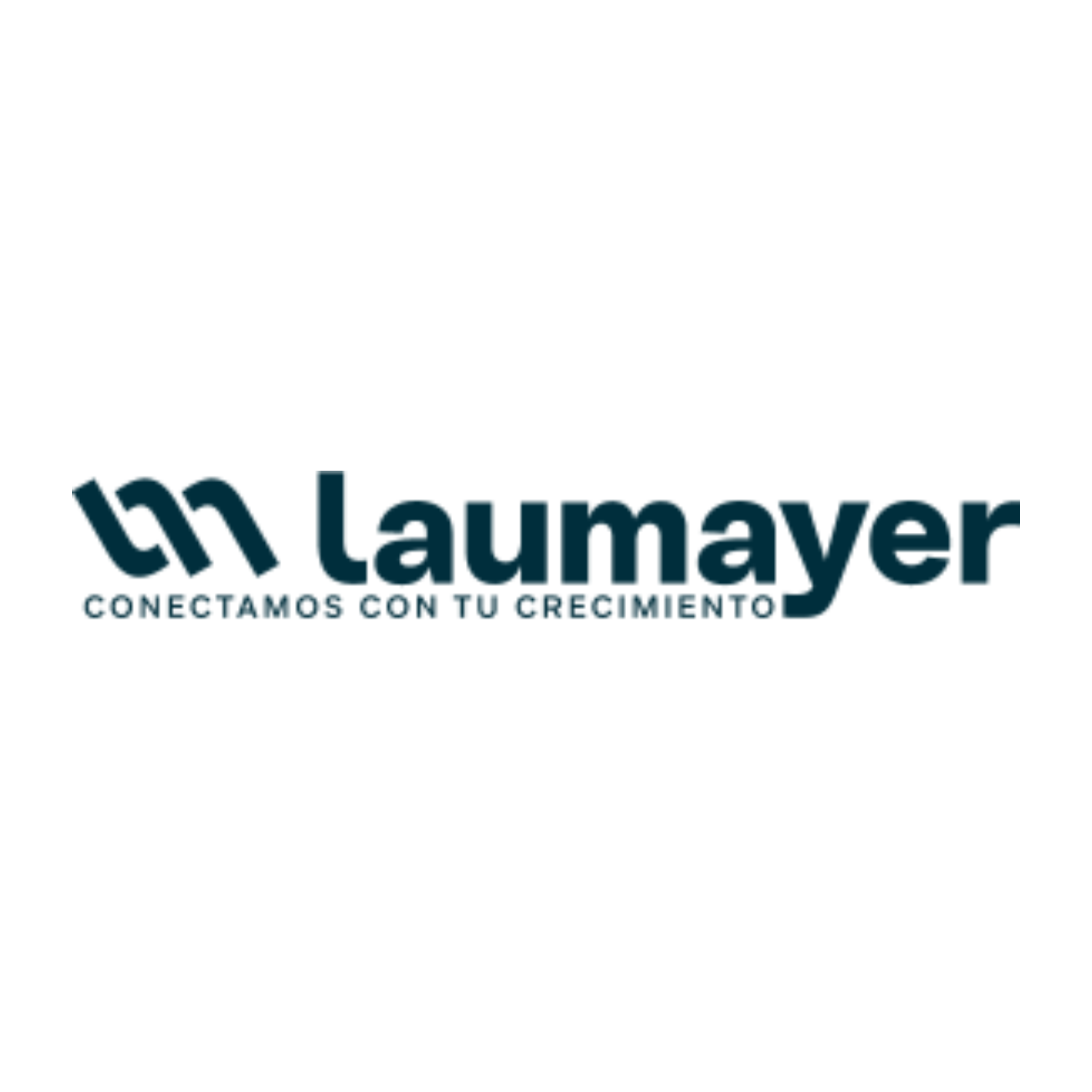Logo de Laumayer S.A.S.