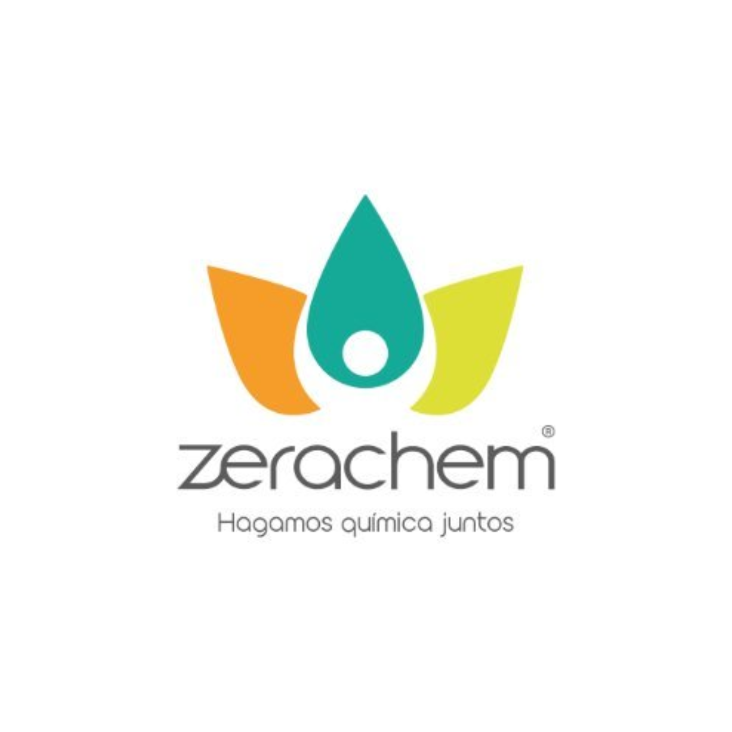 Logo de Zerachem