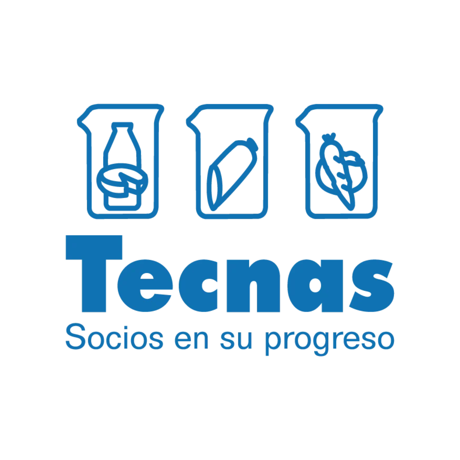 Logo de Tecnas S.A. BIC