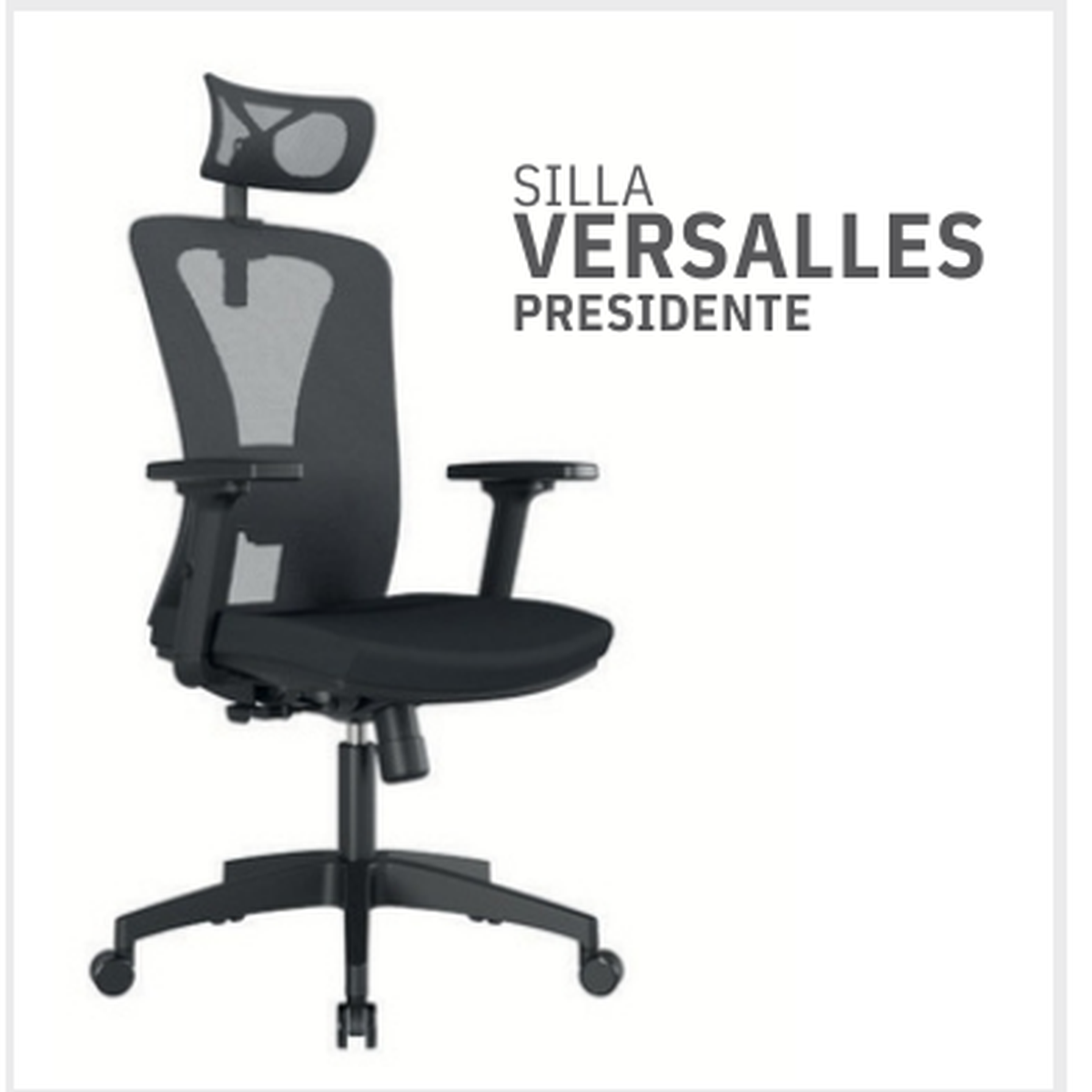 Silla Versalles Presidente