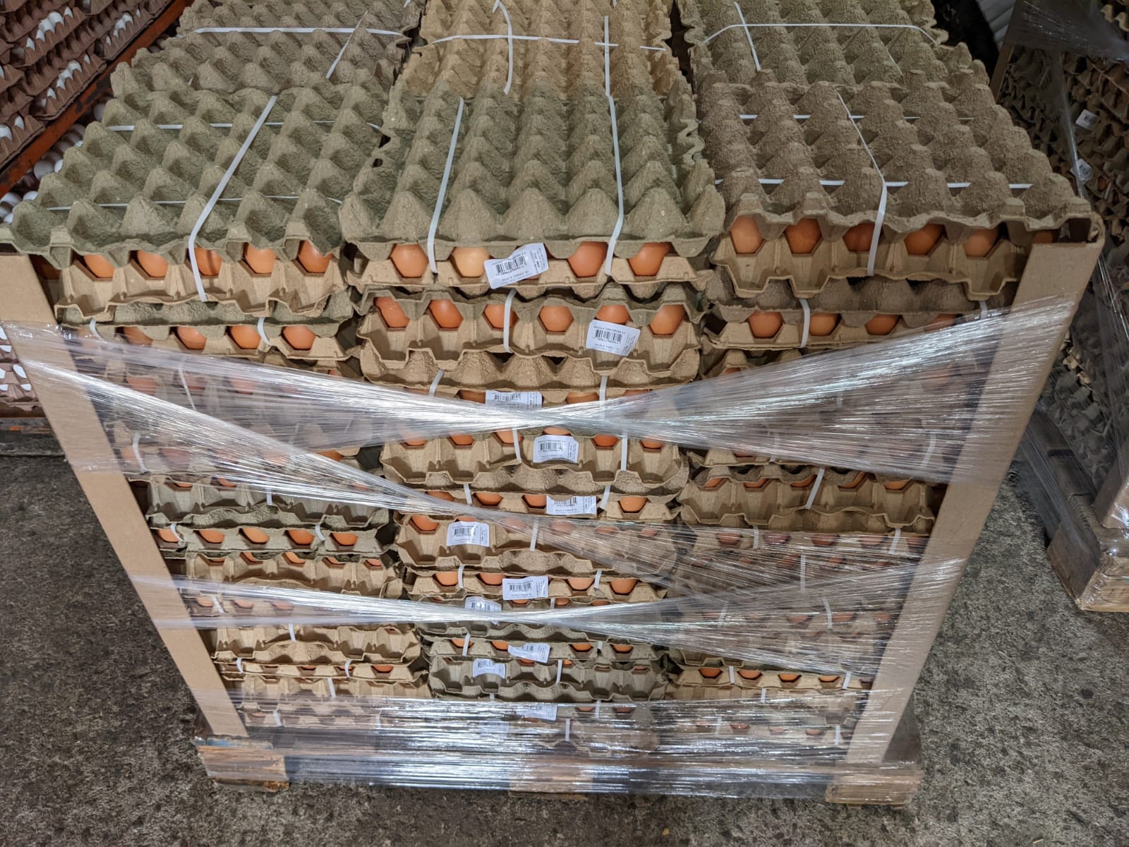 Foto de empresa