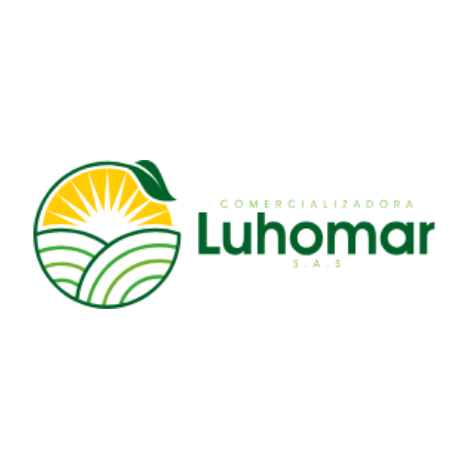 Logo de Luhomar (Comercializadora Luhomar S.A.S.)