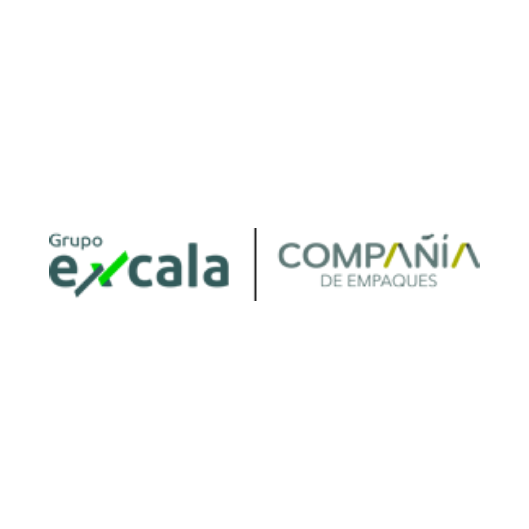 Logo de Grupo Excala
