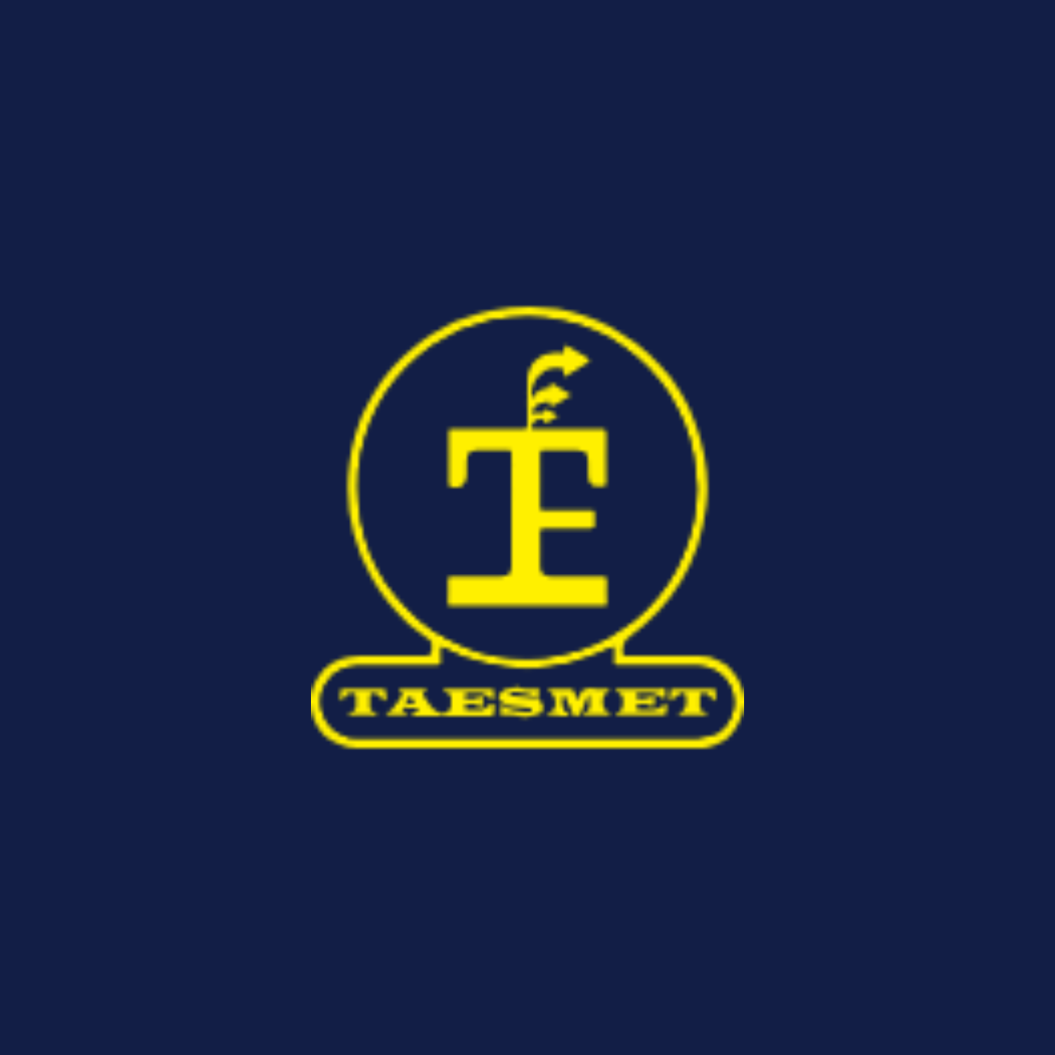 Logo de Taesmet S.A.S.
