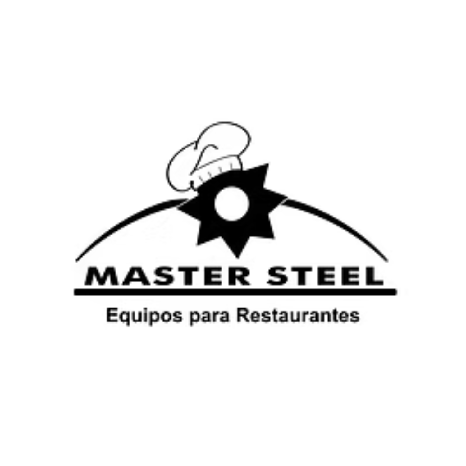 Logo de Master Steel SAS