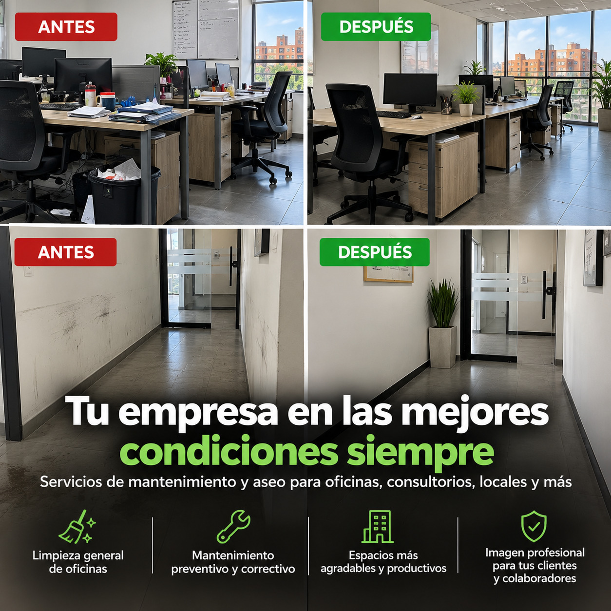 Limpieza Y Mantenimiento