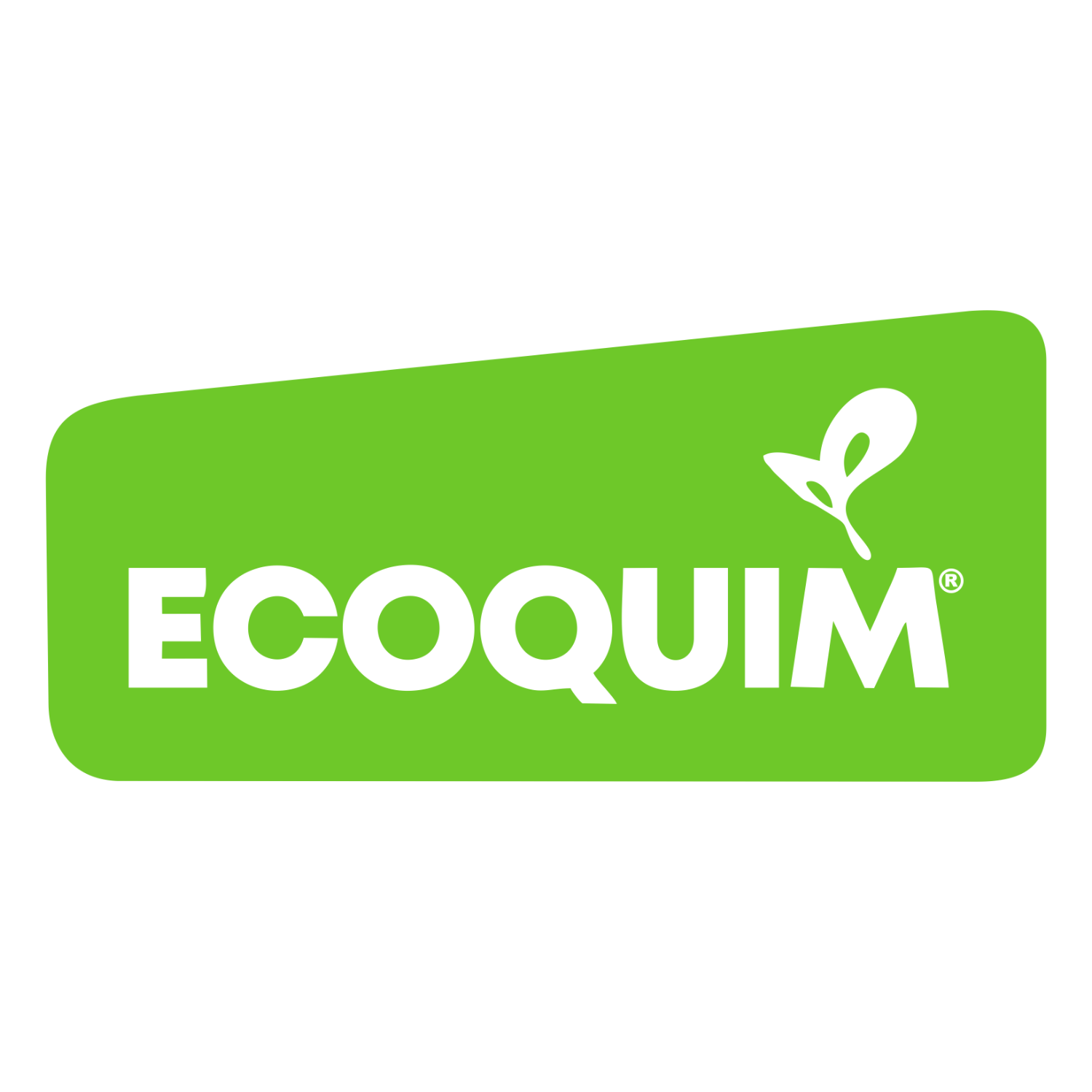 Logo de ECOQUIM