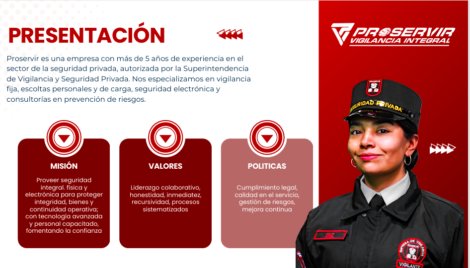 VIGILANCIA Y  SEGURIDAD ELECTRONICA