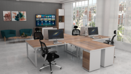 Puestos de Trabajo CONFIDENCE