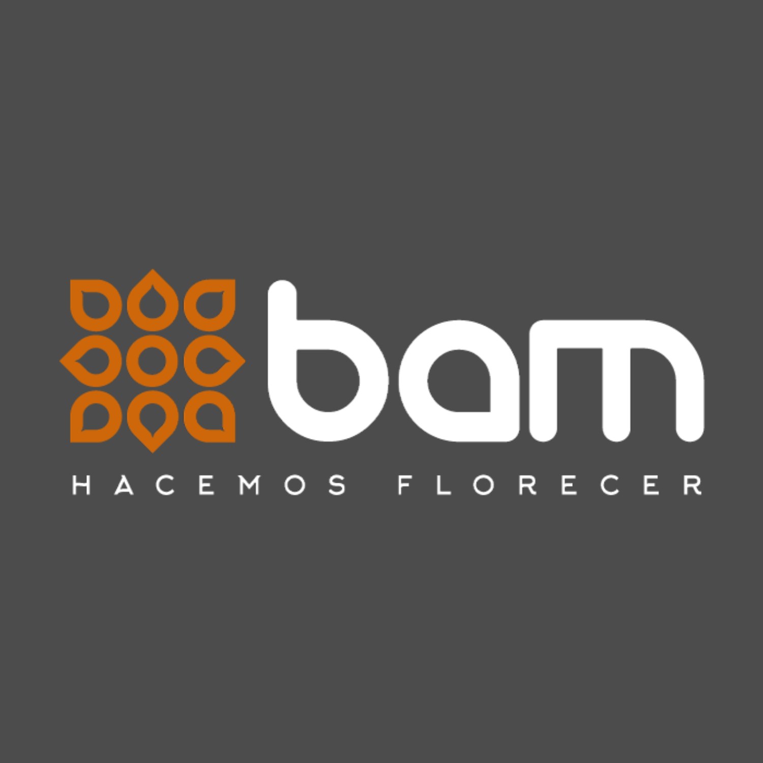 Logo de BAM S.A.S.