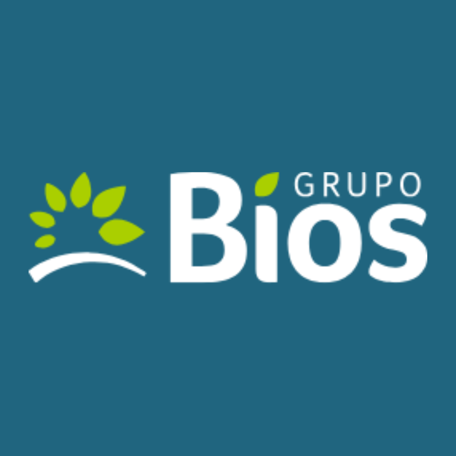 Logo de GRUPO BIOS S.A.S.